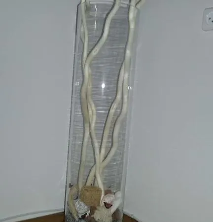 Apartment Center - Apartament Jana Pawla Warsaw